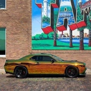 Meet your Posher, Freddy